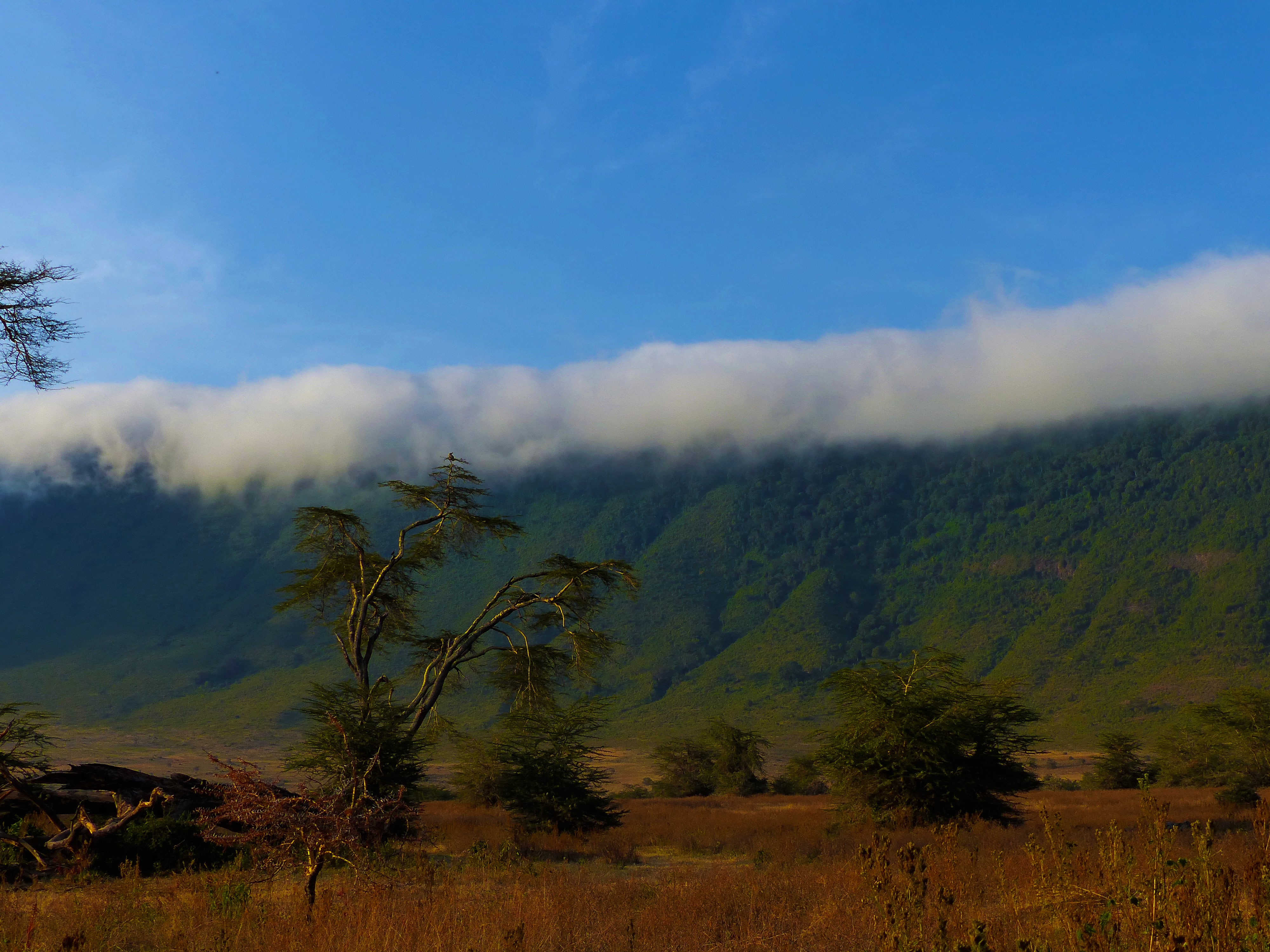 nogorongoro parc national