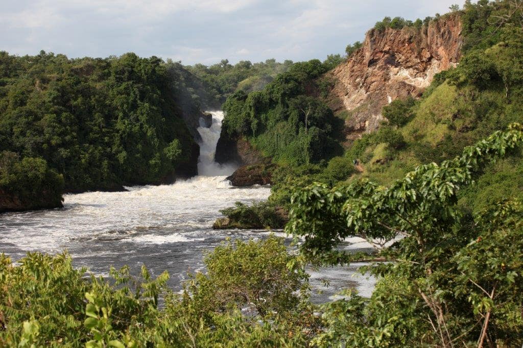 safari photo afrique