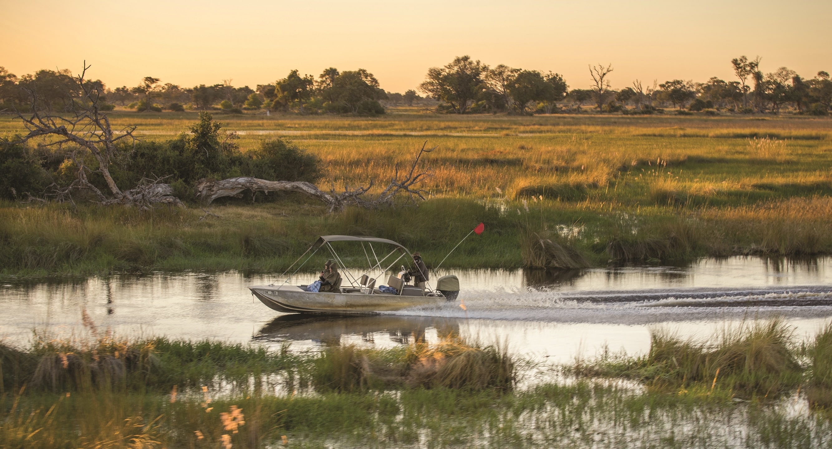 safari photo Botswana