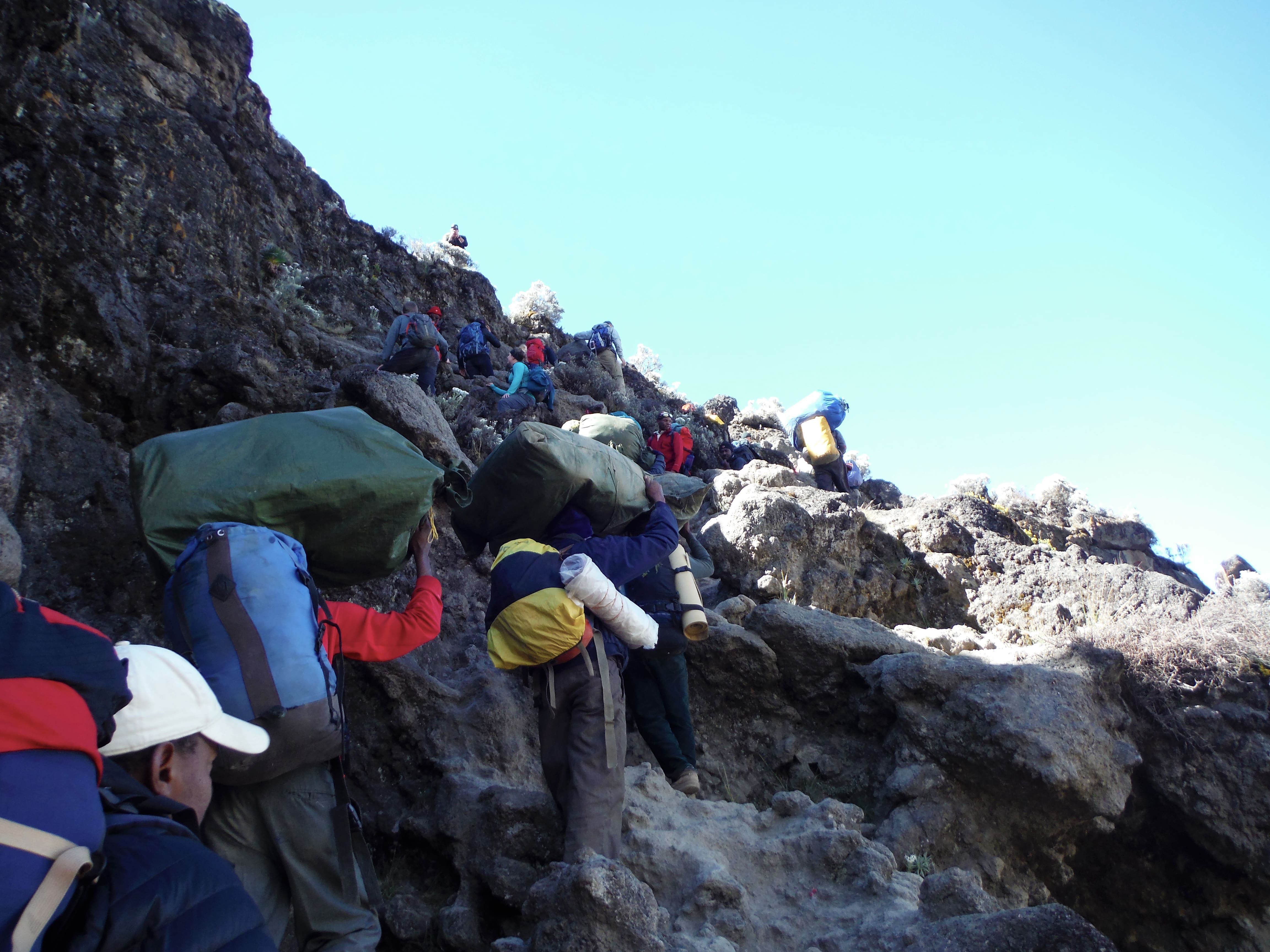 kilimanjaro globe nature tour