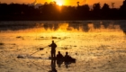 okavavango Botswana